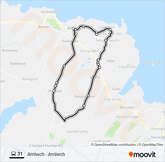 31 Bus Line Map