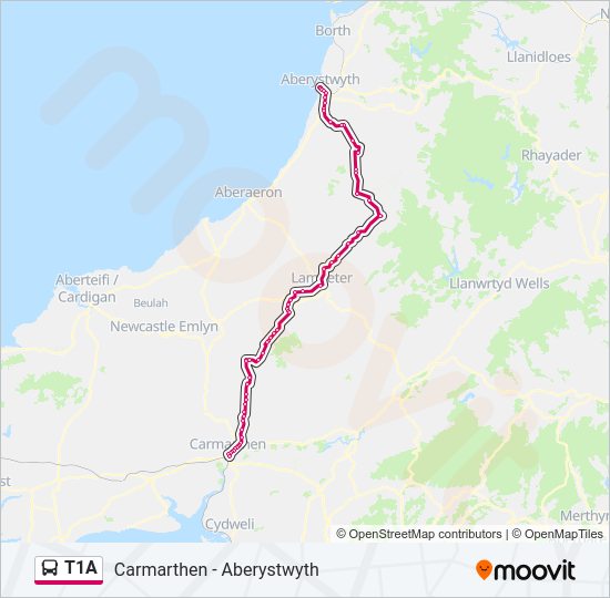 T1A Bus Line Map