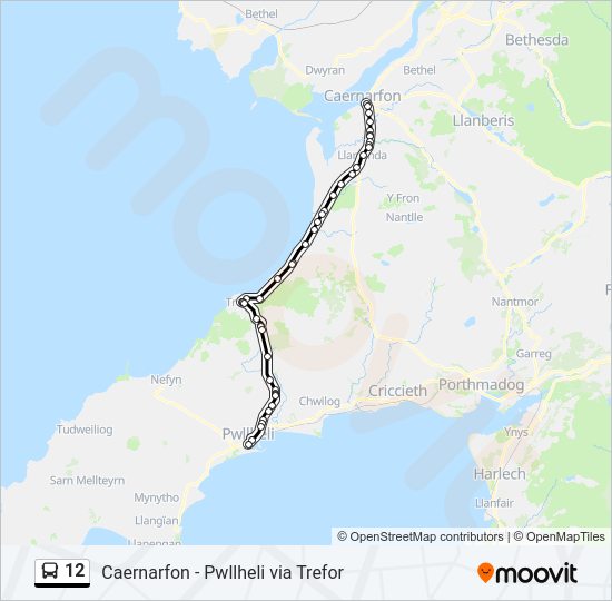 12 bus Line Map