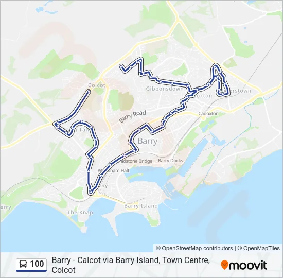 100 Bus Line Map