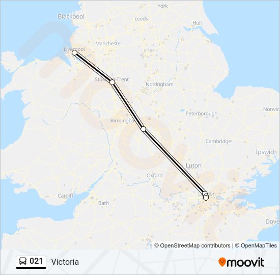021 Bus Line Map