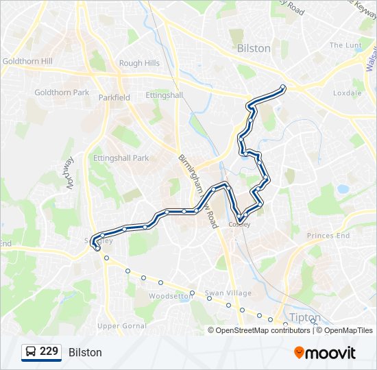 229 Route: Schedules, Stops & Maps - Bilston (Updated)