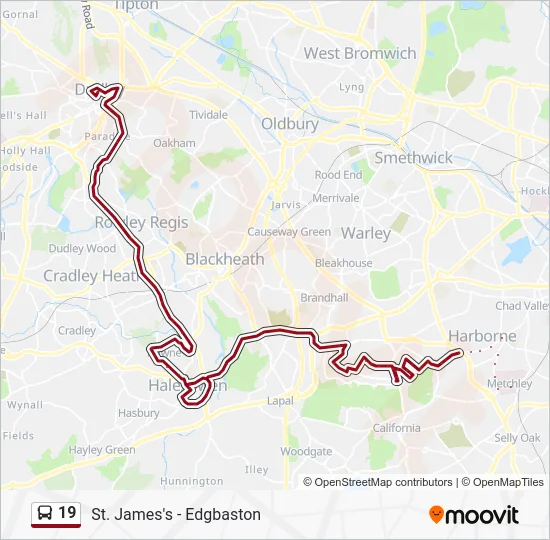 19 Route: Schedules, Stops & Maps - Evolve Campus (Updated)