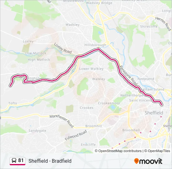 81 Bus Line Map