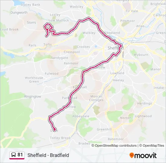 81 Bus Line Map