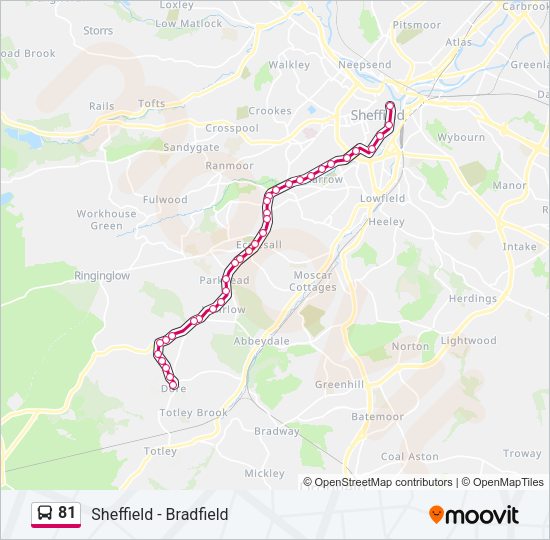 81 Bus Line Map