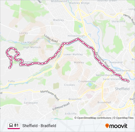 81 Bus Line Map
