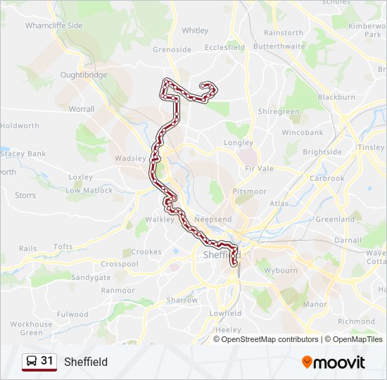 31 Bus Line Map