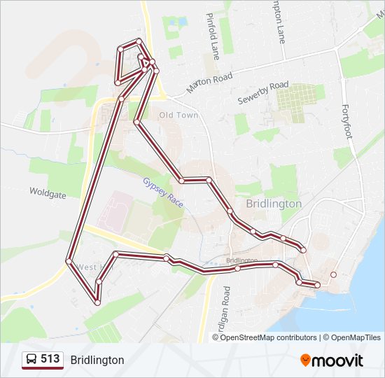 513 Bus Line Map