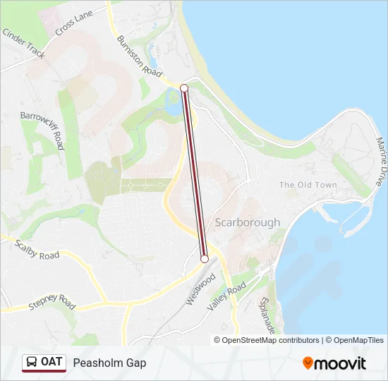OAT Bus Line Map