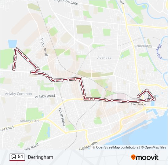 51 Route: Schedules, Stops & Maps - Derringham (Updated)