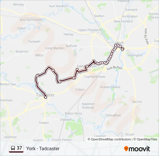 37 Bus Line Map
