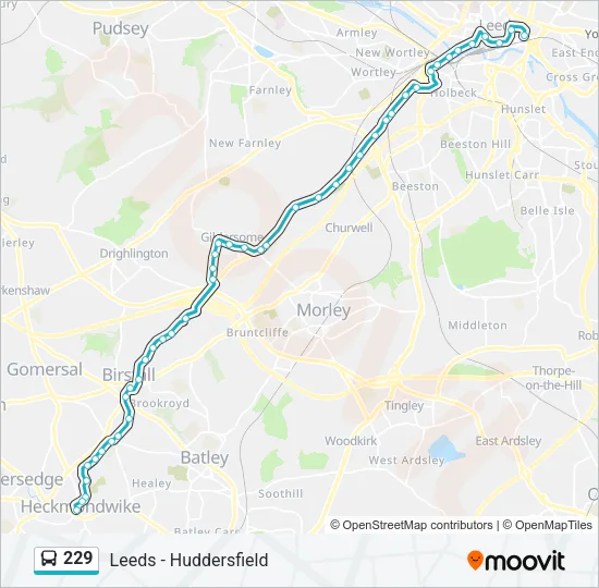 229 Bus Line Map