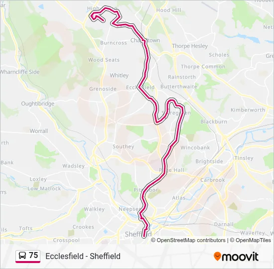 75 Route: Schedules, Stops & Maps - High Green (Updated)
