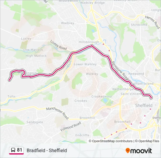81 Bus Line Map