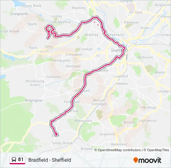81 Bus Line Map