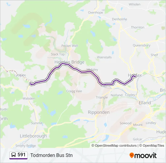 591 Bus Line Map