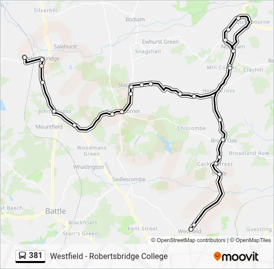 381 Route: Schedules, Stops & Maps - Robertsbridge (Updated)