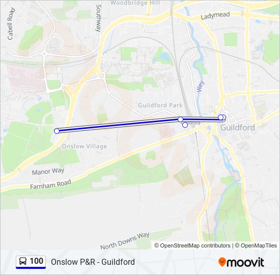 100  Line Map