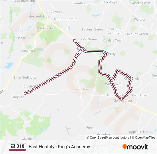318 Route: Schedules, Stops & Maps - Ringmer (Updated)
