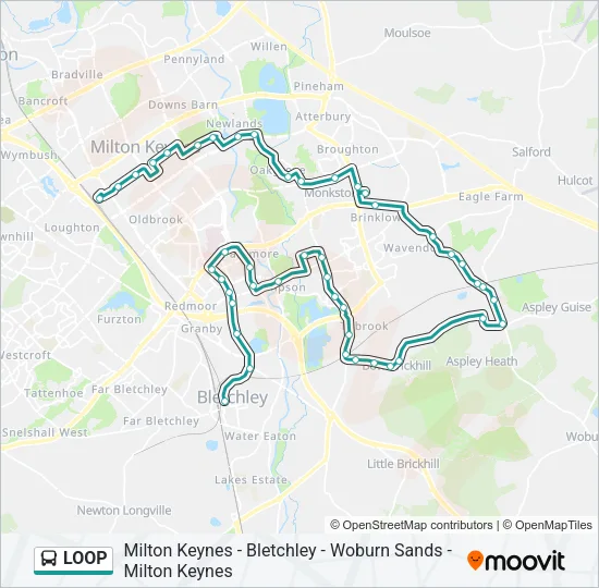 LOOP Bus Line Map