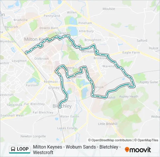 LOOP Bus Line Map