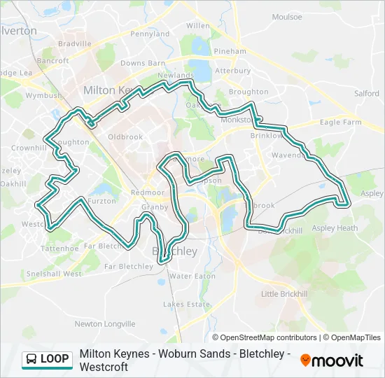 LOOP Bus Line Map