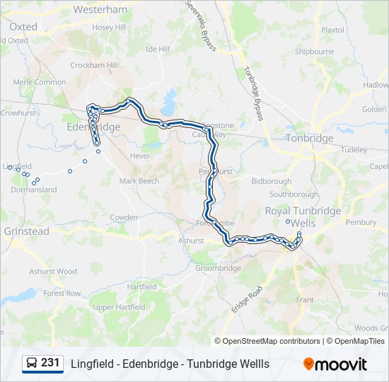 Bus 231 Route Map 231 Route: Schedules, Stops & Maps - Tunbridge Wells (Updated)