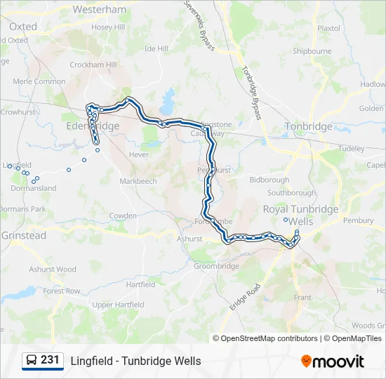 231 Route: Schedules, Stops & Maps - Tunbridge Wells (Updated)