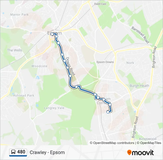 480 Route: Schedules, Stops & Maps - Tadworth (Updated)
