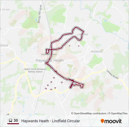 30 Bus Line Map