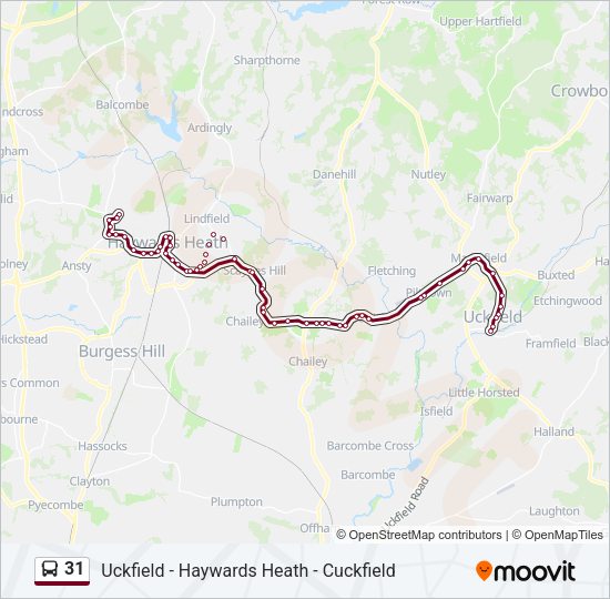 31 Bus Line Map