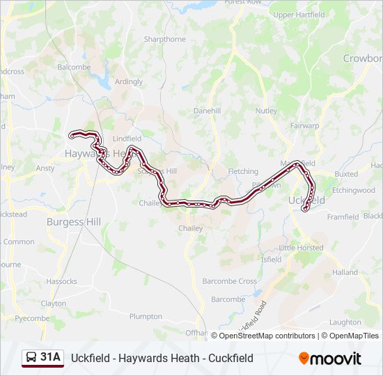 31A bus Line Map