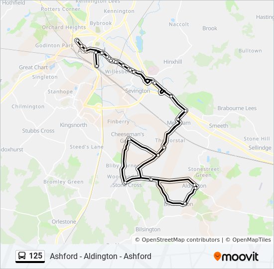 Bus 125 Route Map 125 Route: Schedules, Stops & Maps - Ashford (Updated)