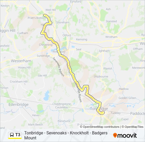 T3 Route: Schedules, Stops & Maps - Tonbridge (Updated)