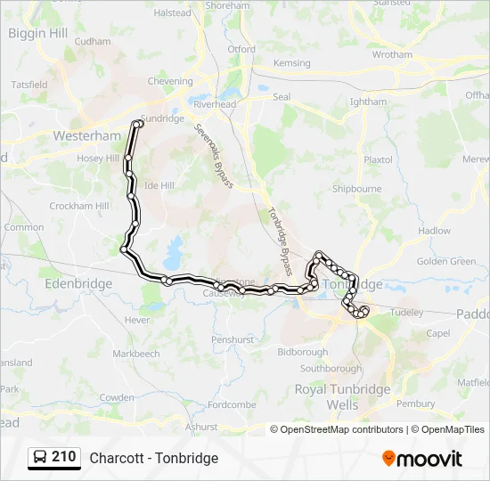 210 Route: Schedules, Stops & Maps - Brasted (Updated)
