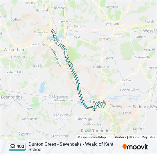 403 Route: Schedules, Stops & Maps - Tonbridge (Updated)