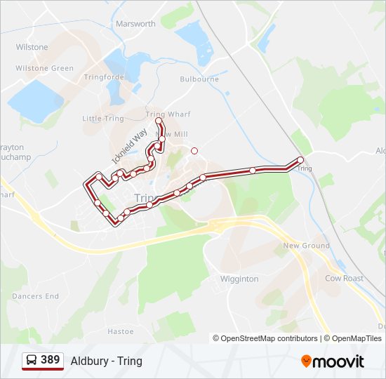 389 Route: Schedules, Stops & Maps - Tring (updated)