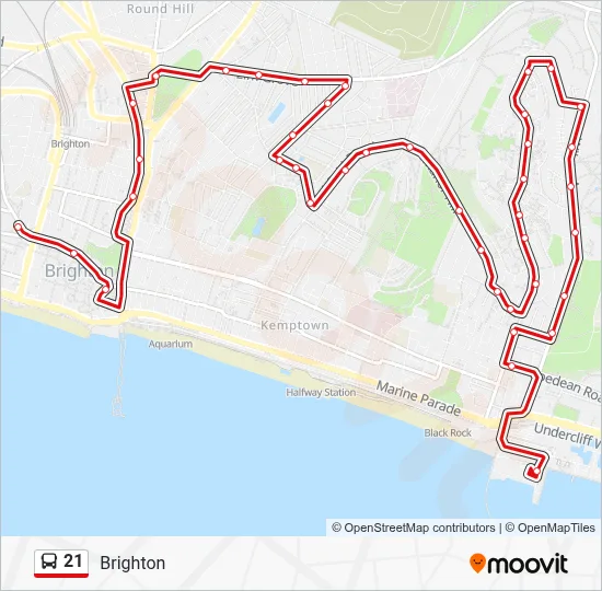 21 Route: Schedules, Stops & Maps - Brighton (Updated)