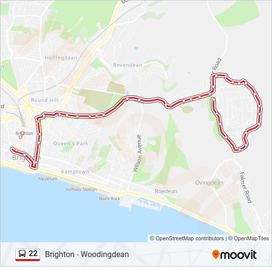 22 Route: Schedules, Stops & Maps - Brighton (Updated)