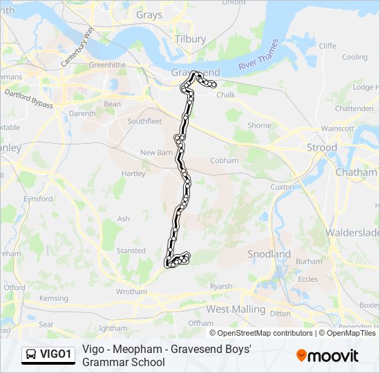 VIGO1 bus Line Map