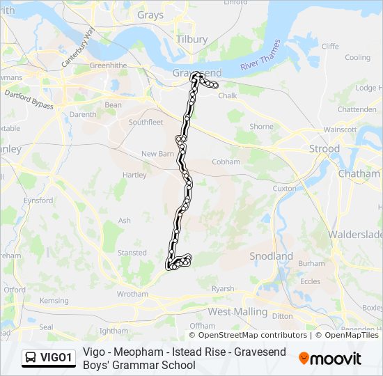 VIGO1 bus Line Map