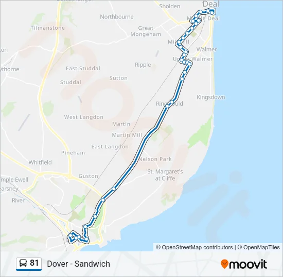 81 Bus Line Map