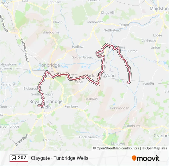 207 Route: Schedules, Stops & Maps - Claygate (Updated)