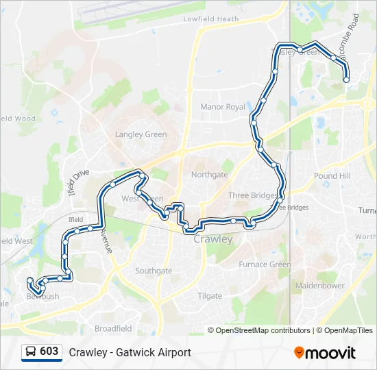 603 Route: Schedules, Stops & Maps - Bewbush (Updated)