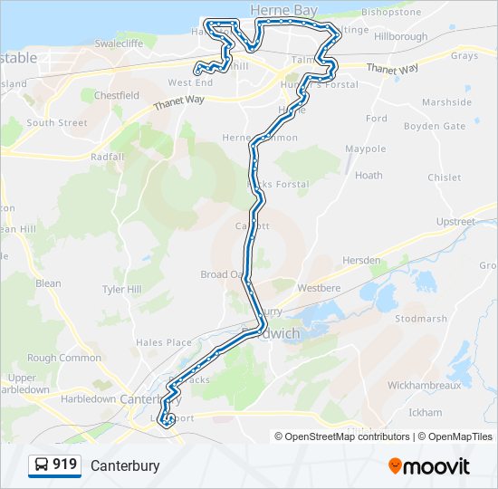 919 bus Line Map