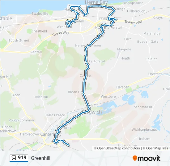 919 Bus Line Map