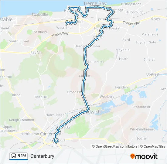 919 Bus Line Map