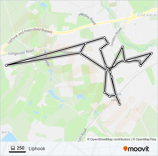 Bus 250 Route Map 250 Route: Schedules, Stops & Maps - Liphook (Updated)