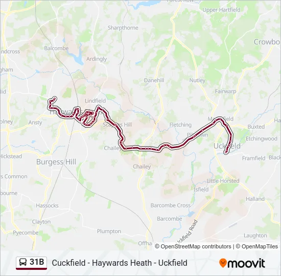 31B Bus Line Map